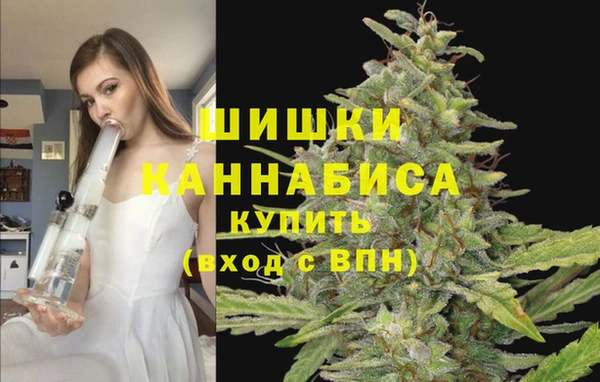 сатива Абдулино