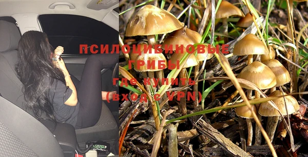 MESCALINE Нефтекумск